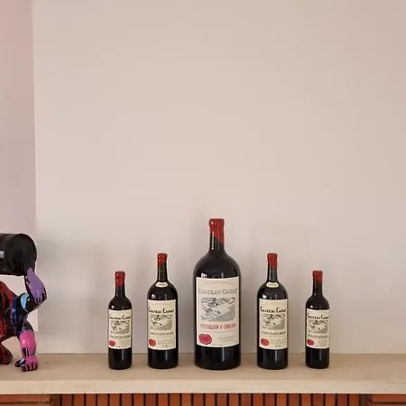 Du Vignoble Feriehus Puisseguin